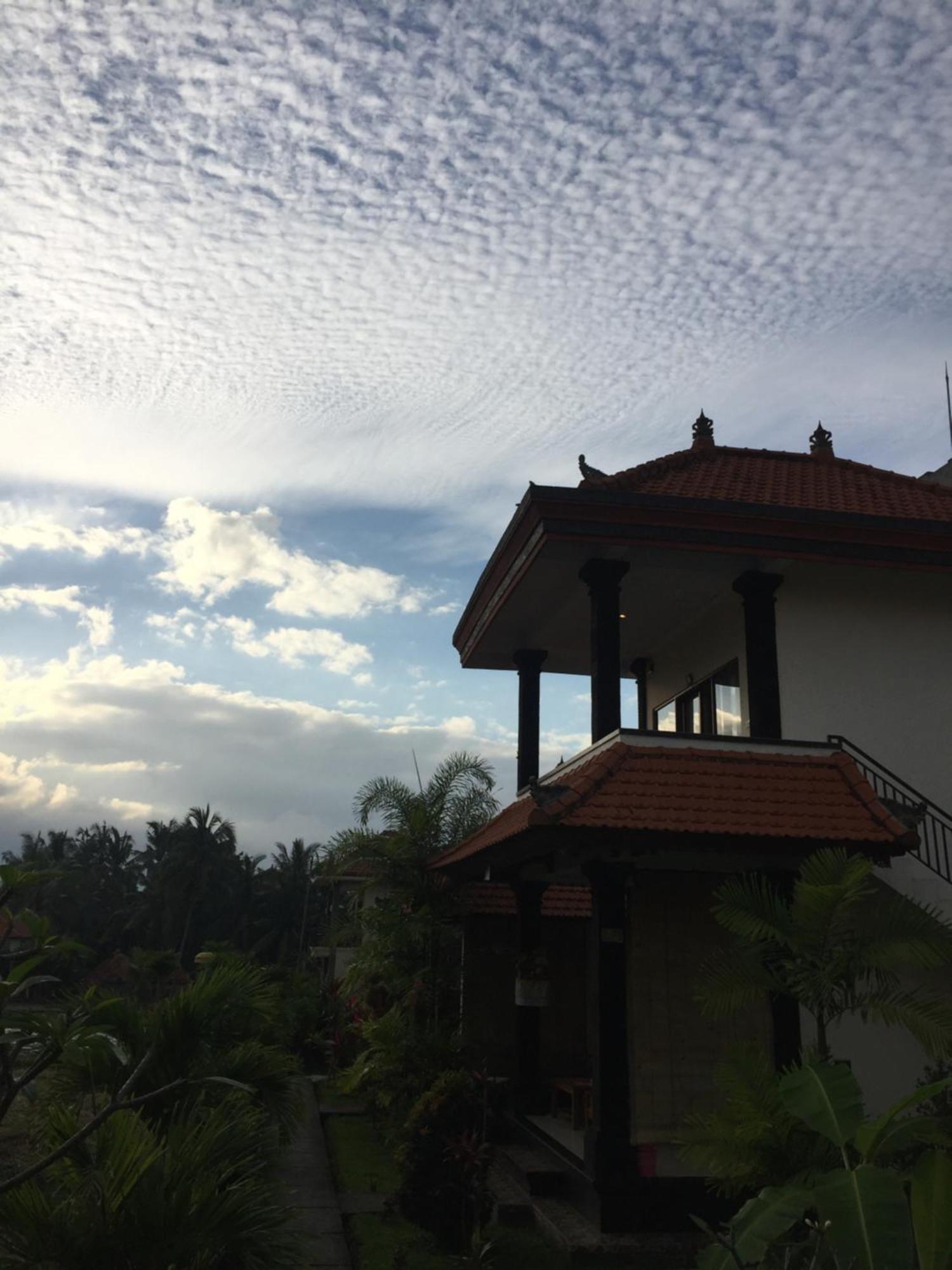 Sari Bungalow Ubud Exterior foto